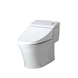 Bàn cầu INAX AC-1008 VRN