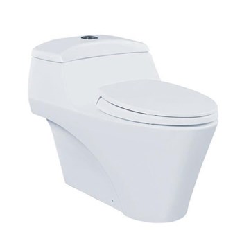 /UserUpload/Product/Ban-cau-TOTO-CW823W-F.jpg