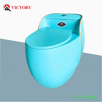 /UserUpload/Product/Ban-cau-VICTORY-VIC-6999-BLUE.jpg