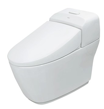 /UserUpload/Product/Ban-cau-inax-AC-1032VN.jpg