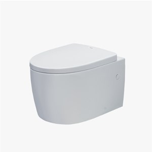 Bàn cầu treo tường AC 952 VN