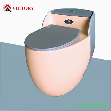 /UserUpload/Product/Ban-cau-trung-VICTORY-VIC-6999-KG.jpg