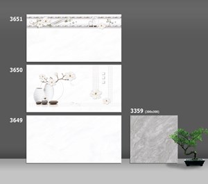 Bộ Gạch ốp Catalan 3649-3650-3651