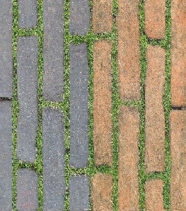 Bộ đá mờ Đồng Tâm Greenery007-008