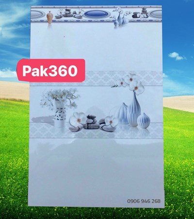 Bộ gạch ốp tường 300x600 PAK 360