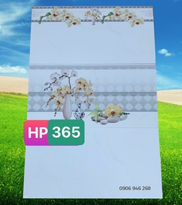 Bộ gạch ốp tường 300x600 PAK 365