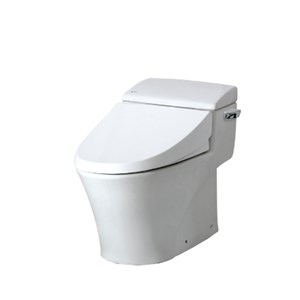 Bồn cầu INAX AC-1017 VRN