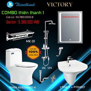 Combo bàn cầu khối Thiên Thanh 001