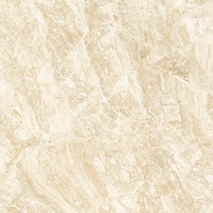 Đá bóng kiếng TASA 800x800 TS 8105