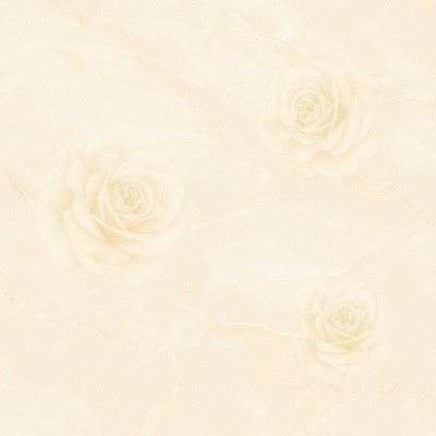 Đá bóng kiếng TASA 800x800 TS 8113