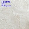 Đá bóng kiếng Viglacera TB 6806
