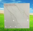 Đá bóng kiếng giá rẻ 6009
