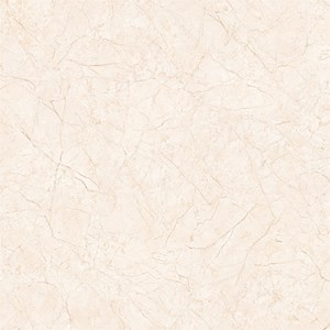 Đá bóng kiếng toàn phần PN66005