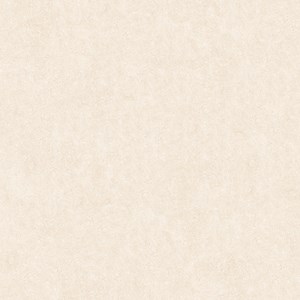 Đá bóng kính TASA 80x80 TS 8115