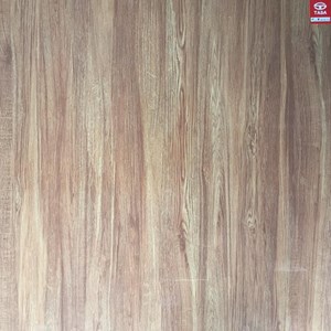 Đá bóng kính TASA 80x80 TS 8166