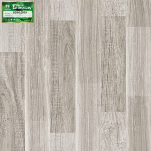 Đá bóng kính vân gỗ BLUEDRAGON 6919