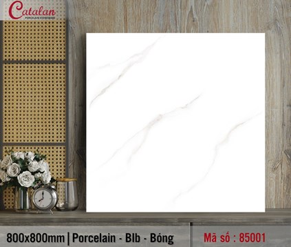 /UserUpload/Product/Da-lat-nen-80x80-Porcelain-Catalan-TITAN-85001.jpg