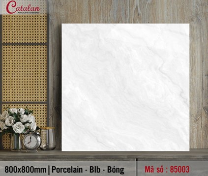 /UserUpload/Product/Da-lat-nen-80x80-Porcelain-Catalan-TITAN-85003.jpg