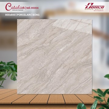 /UserUpload/Product/Da-lat-nen-80x80-Porcelain-Catalan-TITAN-85004.jpg