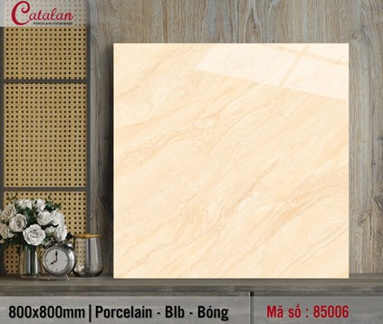 /UserUpload/Product/Da-lat-nen-80x80-Porcelain-Catalan-TITAN-85006.jpg