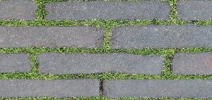 Đá mờ Đồng Tâm Greenery007