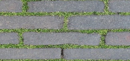 Đá mờ Đồng Tâm Greenery007