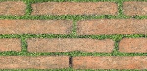 Đá mờ Đồng Tâm Greenery008