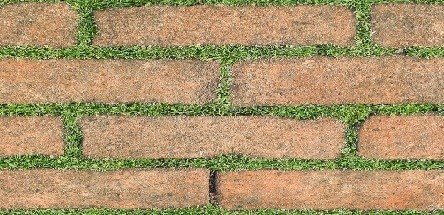 Đá mờ Đồng Tâm Greenery008