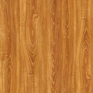 Đá vân gỗ PRIME 600x600 9920