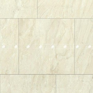 GẠCH ĐỒNG TÂM 6060TRANGAN007-FP