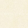GẠCH ĐỒNG TÂM 8080ROME004-H+
