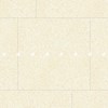 GẠCH ĐỒNG TÂM 8080ROME004-H+