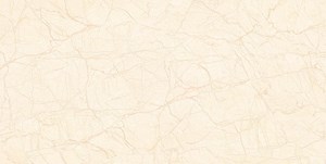 Gạch 400x800 TASA 4805