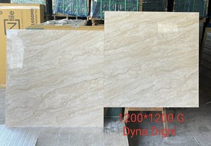 Gạch Ấn Độ 1.2 mét INDIA DYNA DIGNI