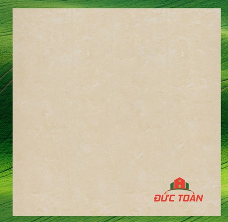 Gạch Đồng Tâm 1mx1m 100DB016-NANO