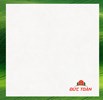 Gạch Đồng Tâm 1mx1m VICTORIA 005