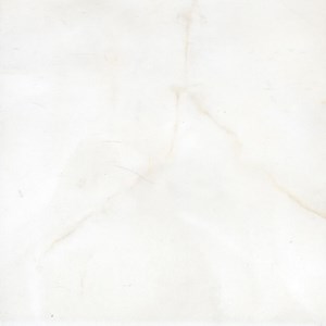 Gạch Đồng Tâm 3030NGOCTRAI002