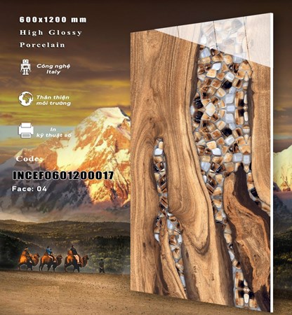 Gạch INDIA 600x1200 Bóng kính 17