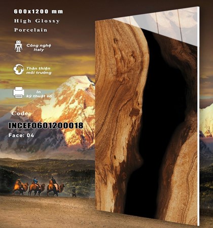 Gạch INDIA 600x1200 Bóng kính 18