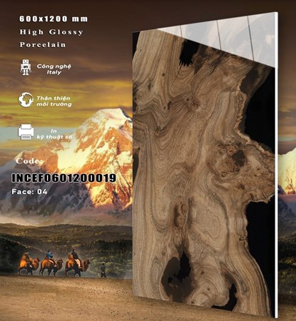 Gạch INDIA 600x1200 Bóng kính 19