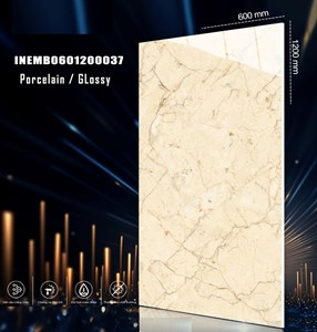 Gạch INDIA 600x1200 Bóng kính 37