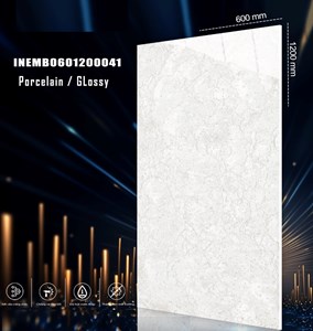 Gạch INDIA 600x1200 Bóng kính 41
