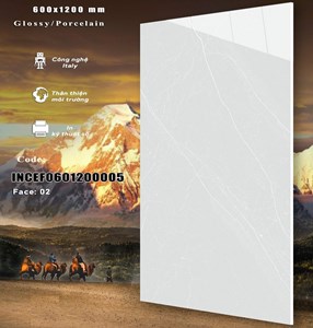 Gạch INDIA 600x1200 Bóng kính 5
