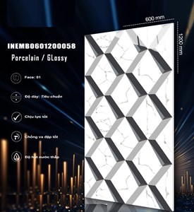 Gạch INDIA 600x1200 Bóng kính 58