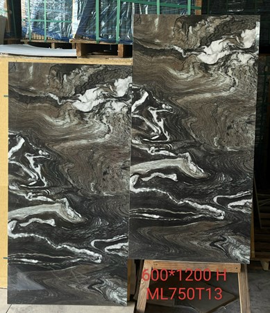 Gạch INDIA 600x1200 ML750T13