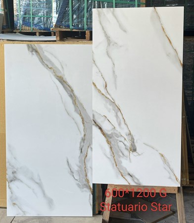 Gạch INDIA 600x1200 STATUARIO STAR
