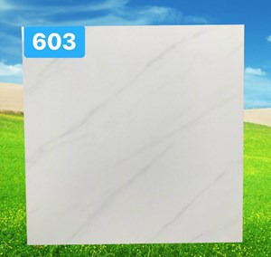 Gạch PAK 60x60 HP 603 trắng vân khói