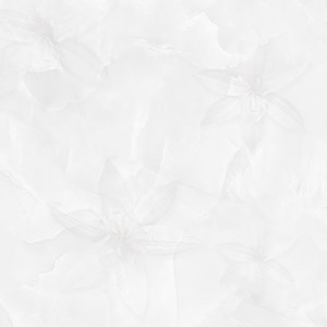 Gạch PRIME 600x600 15638