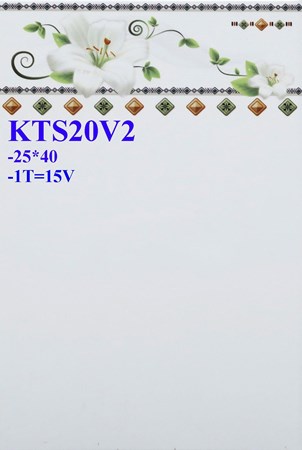 Gạch Prime 25x40 KTS20V2