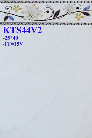 Gạch Prime 25x40 KTS44V2